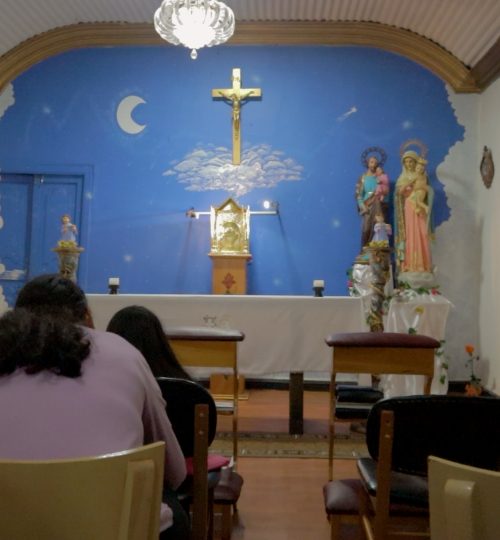 MVI_8243.00_00_10_24.Imagen fija030