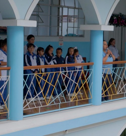 MVI_8243.00_00_26_47.Imagen fija017